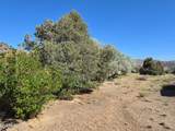1340 Topaz Ranch Road - Photo 19