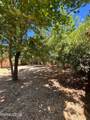 5311 Coit Drive - Photo 21