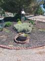 774 Copperwood Drive - Photo 5