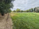 1616 Scoti Lane - Photo 43