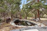 4260 Longknife Road - Photo 54