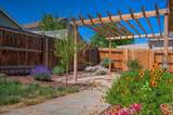 569 Country Hollow Drive - Photo 44