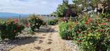 2664 Starr Meadows Loop - Photo 53