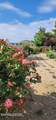 2664 Starr Meadows Loop - Photo 54