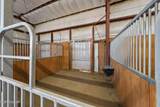 3755 Wild Horse Road - Photo 47