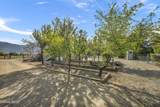 1097 Meadowlark Circle - Photo 50