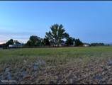 1097 Meadowlark Circle - Photo 99