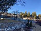 2919 Mountain Springs Road - Photo 41