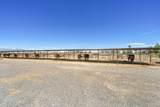 1729 2300 E Street - Photo 3
