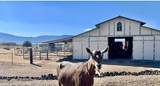 1281 Jo Lane - Photo 42