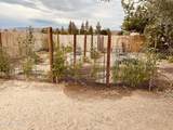 1351 Spruce Street - Photo 15