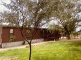 1351 Spruce Street - Photo 24