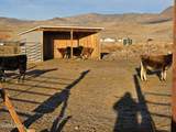 9705 Iroquois Trail - Photo 46