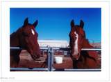 16500 Pyramid Highway - Photo 16