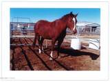 16500 Pyramid Highway - Photo 17