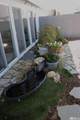 255 Ash Street - Photo 10