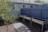 255 Ash Street - Photo 8