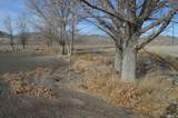 61500 State Highway 447 - Photo 8