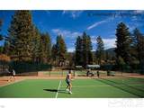 335 Ski Way - Photo 34
