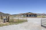 180 Muletail - Photo 1