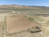 180 Muletail - Photo 30