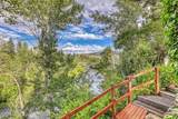 556 Dusty Lane - Photo 49