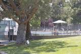 304 Lorraine Court - Photo 41