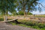 2025 Cushman Road - Photo 47