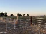 2025 Cushman Road - Photo 49