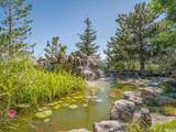 255 Hawkins Peak - Photo 4