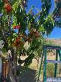 3395 Basque Oven Road - Photo 19