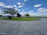 10445 Reins Way - Photo 7