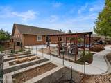 2235 Contrail Street - Photo 48