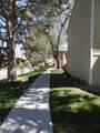 3890 Leonesio Drive - Photo 2