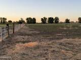 2025 Cushman Road - Photo 20