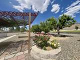 10445 Reins Way - Photo 35