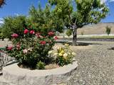 10445 Reins Way - Photo 36