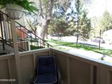 3890 Leonesio Drive - Photo 31