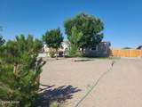 4320 Margoree Lane - Photo 70