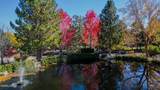 285 Sierra Country Circle - Photo 3