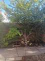 32 Castle Way - Photo 8