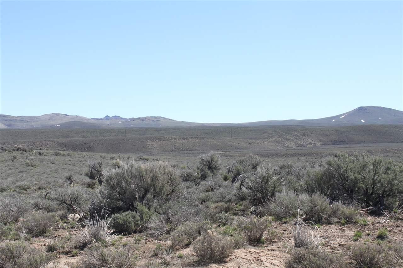 Lot 11 Stageline Loop - Photo 1
