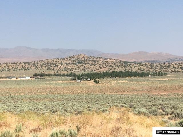 1260 American Flat Road - Photo 1