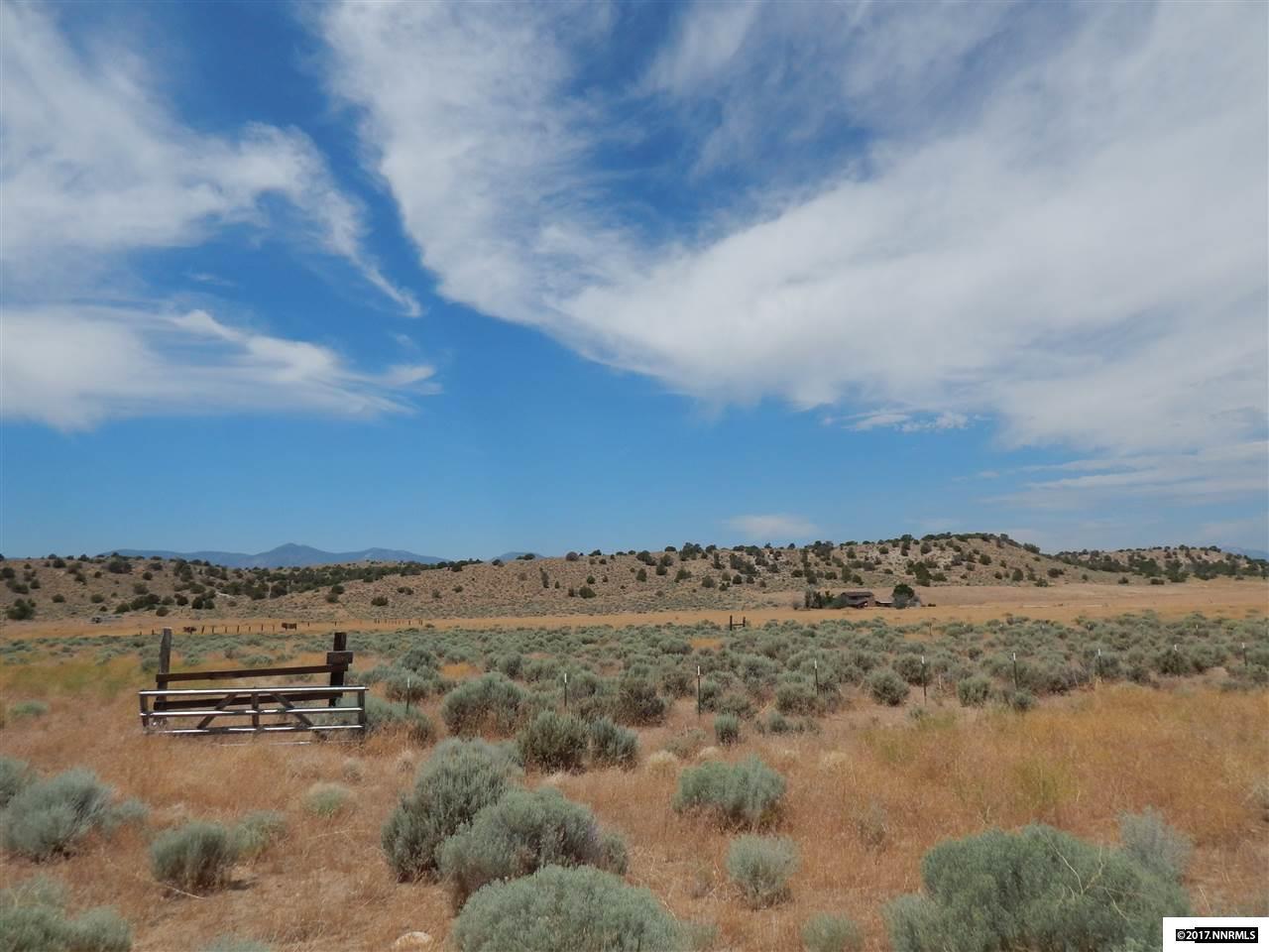2980 Juniper Valley Ranch Road - Photo 1
