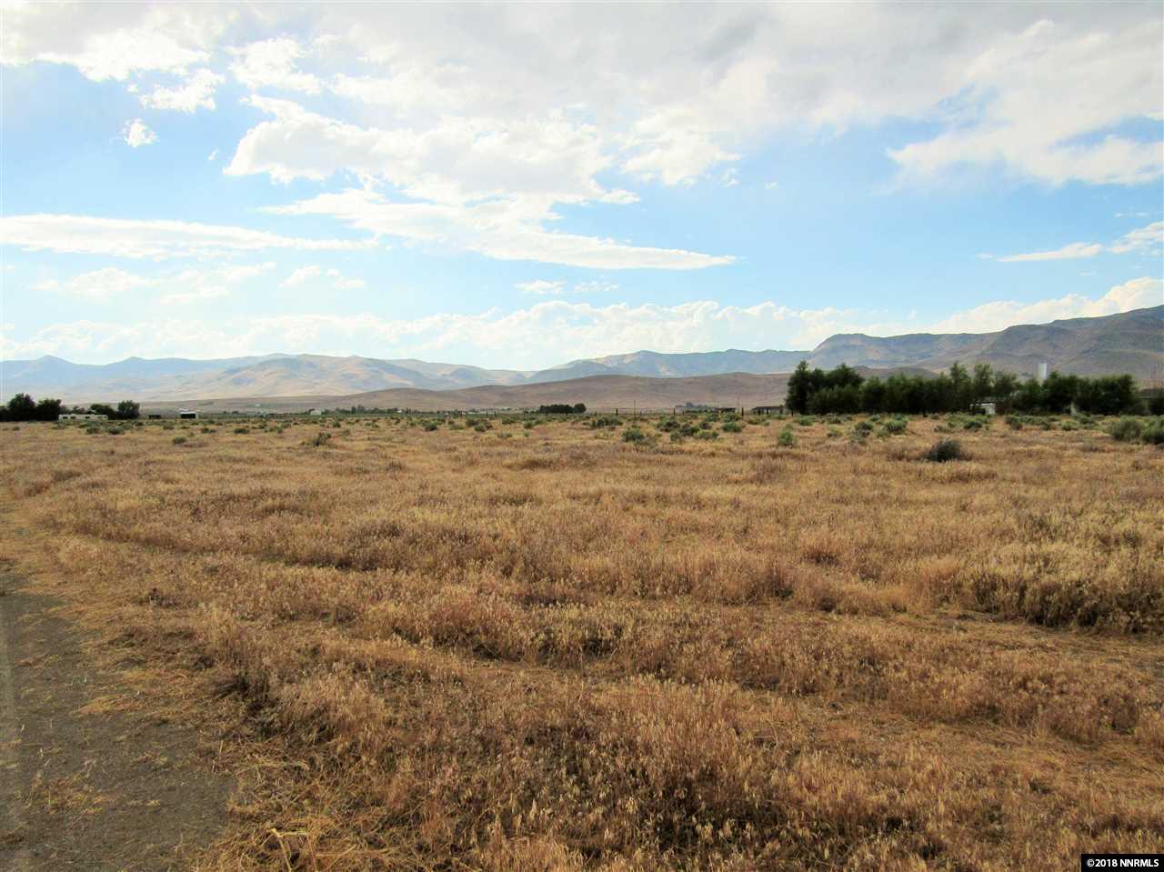 000 Cheyenne Tr. S. - Photo 1