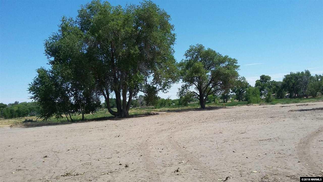 833 Wetland - Photo 1