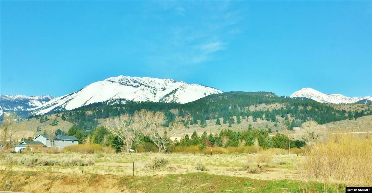 310 White Pelican - Photo 1