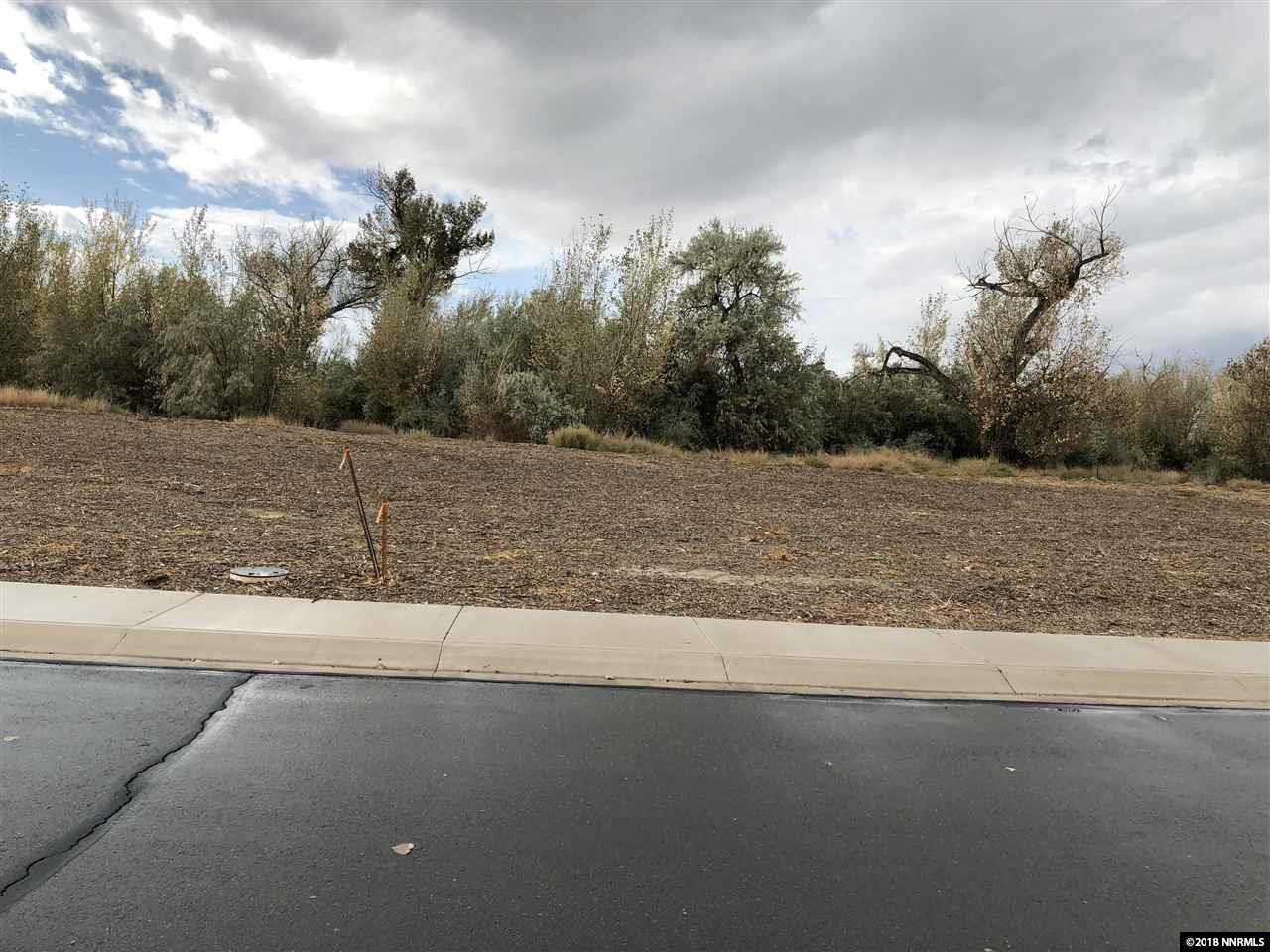 2175 Verona Dr. - Photo 1
