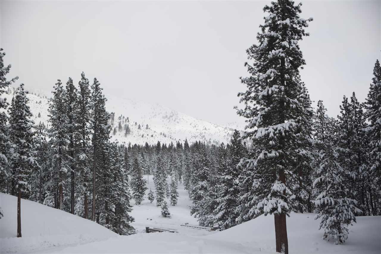 0000 Old Clear Creek Rd - Photo 1