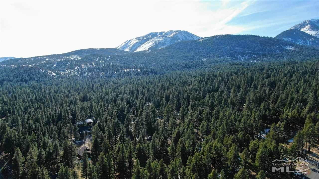 850 Piney Creek Road - Photo 1